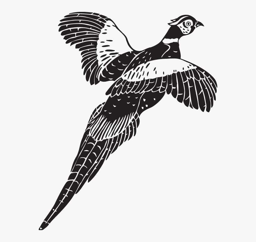 Flying Pheasant Clip Art, HD Png Download , Transparent Png Image - PNGitem