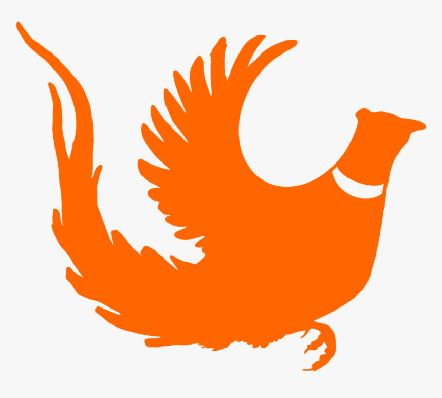 Pheasant, HD Png Download