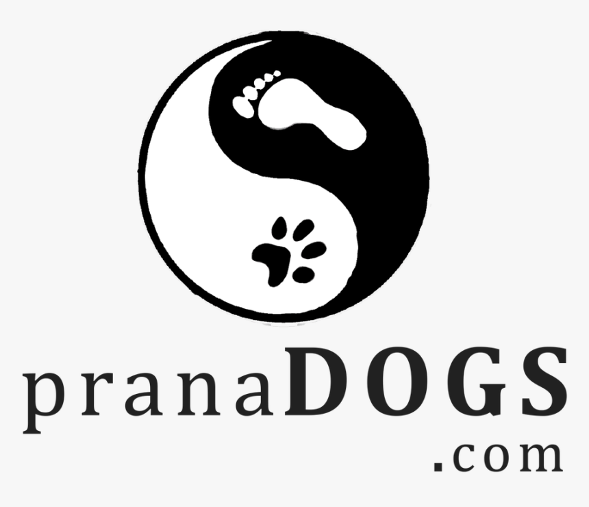 Picture - Graphic Design, HD Png Download