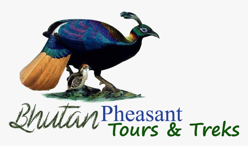 Featured Image - Animal Figure, HD Png Download