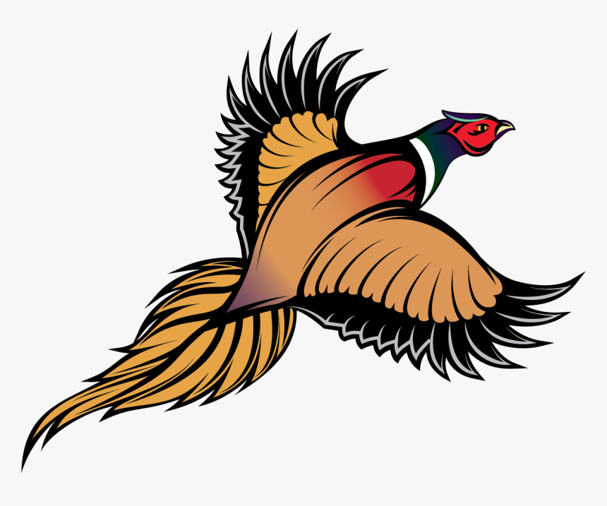 Ring Necked Pheasant - Pheasant Clip Art, HD Png Download