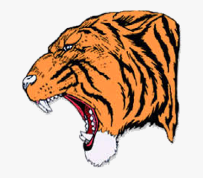 The Reeds Spring Wolves Defeat The Hollister Tigers - Hollister Tigers, HD Png Download