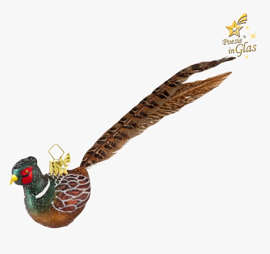 Pheasant - Turkey, HD Png Download