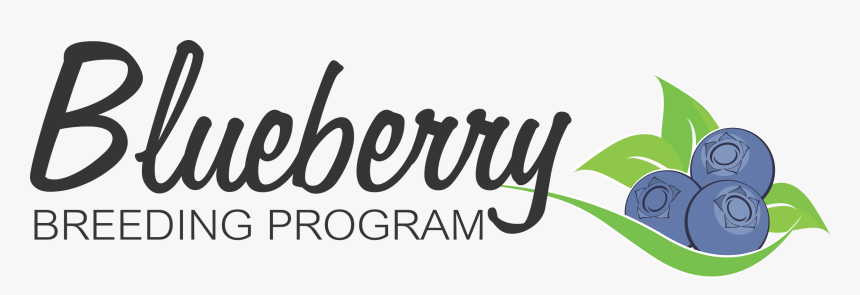 Calligraphy, HD Png Download