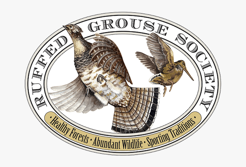 Ruffed Grouse Society, HD Png Download