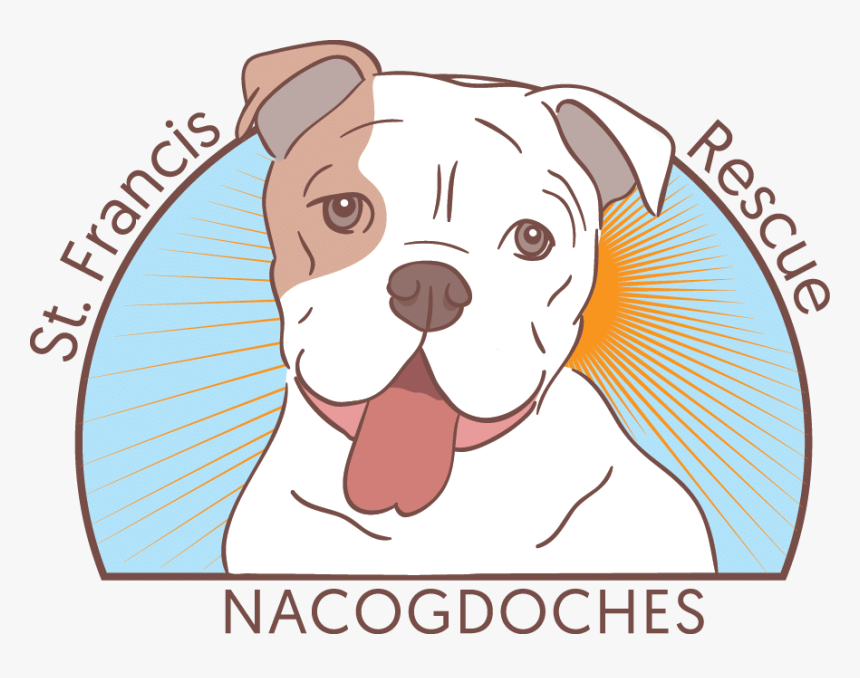 Gus - Australian Bulldog, HD Png Download