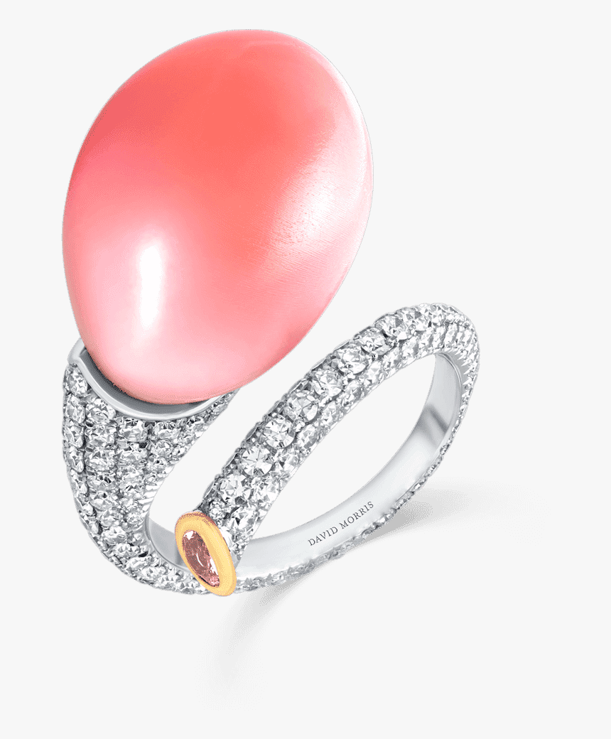 11 06 429 Ring - Ring, HD Png Download