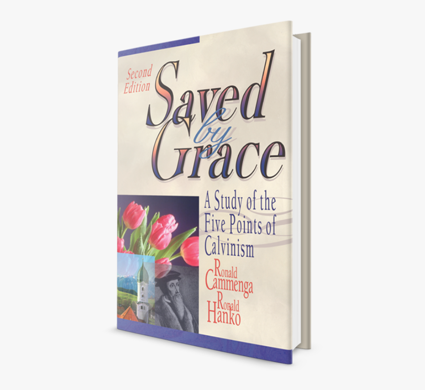 Tulip, HD Png Download