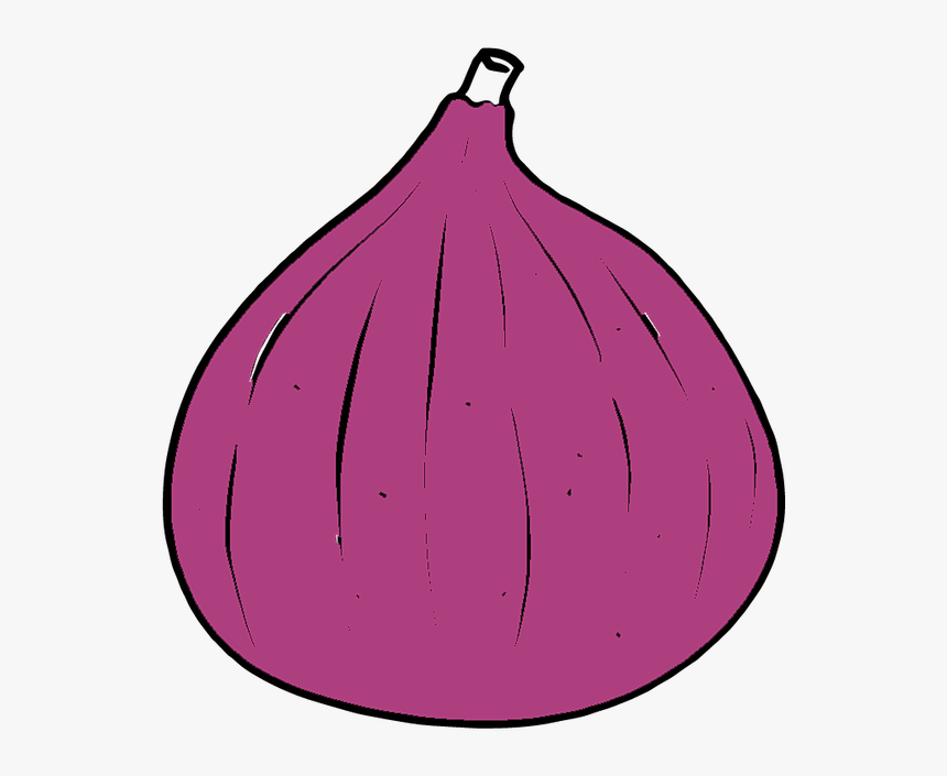 Red Onion, HD Png Download