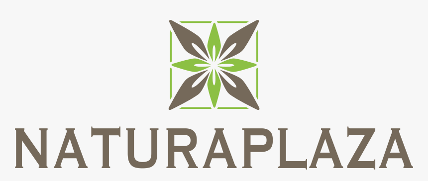 Brandy Melville Stickers Png, Transparent Png