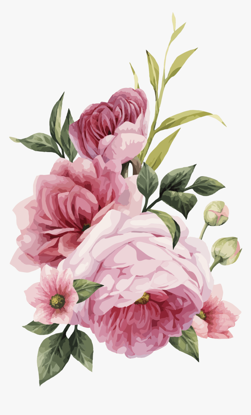 Transparent Pink Flowers Png, Png Download