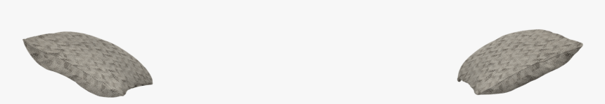 Tortoise, HD Png Download