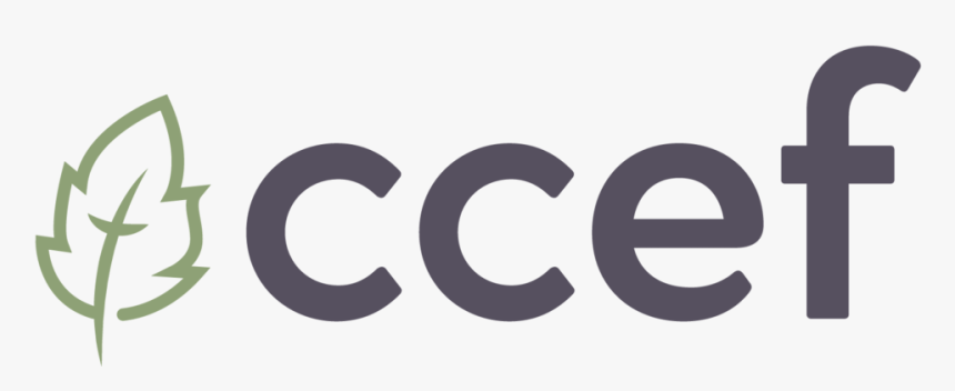 Ccef Logo 2019 Color - Circle, HD Png Download