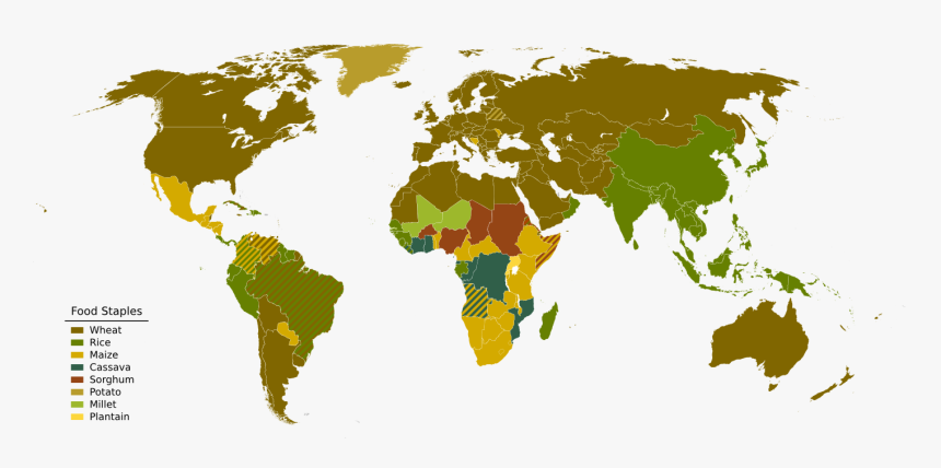 Transparent World Map - World Map Vector Country Free Download, HD Png Download