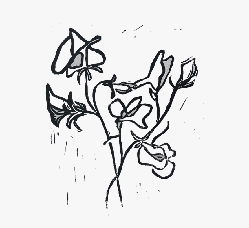 Sketch, HD Png Download