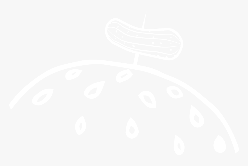 Johns Hopkins White Logo, HD Png Download