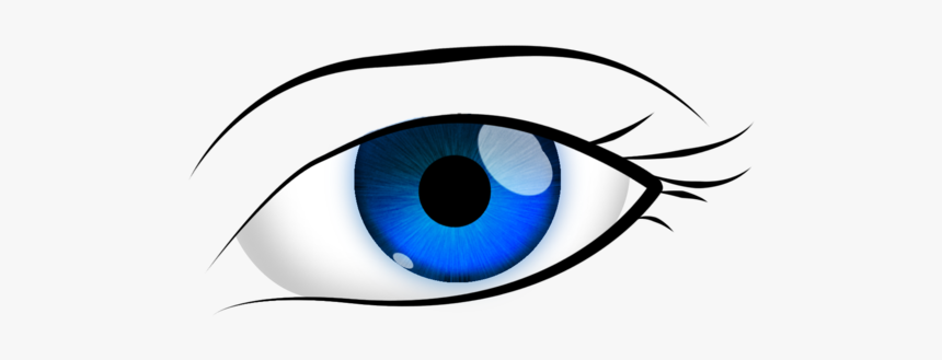 Blue Brown Eye Free, HD Png Download