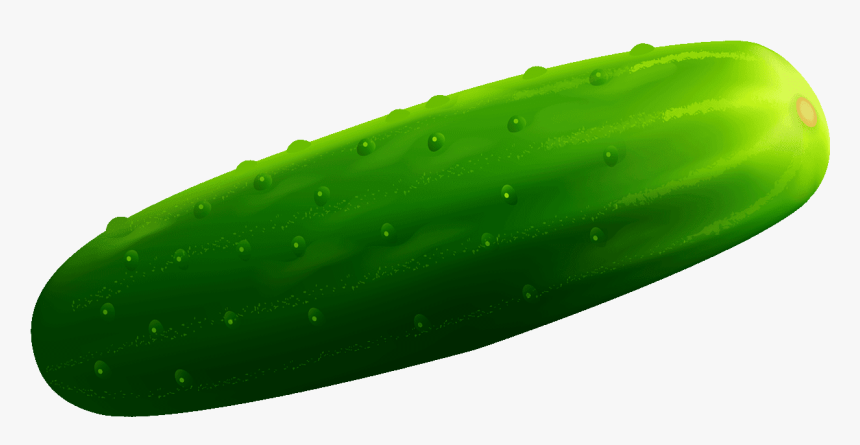 Cucumber Clipart, HD Png Download