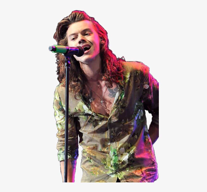 Harry Png For Your Edits - Harry Styles In Show, Transparent Png