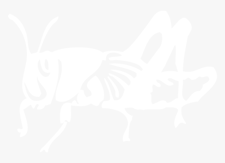 White Locust - Insect, HD Png Download