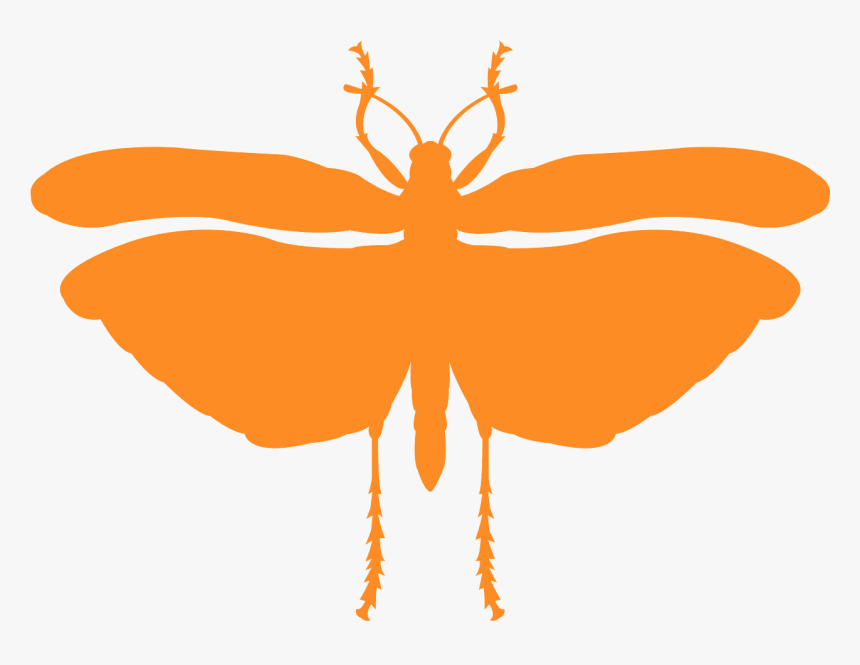 Locust Silhouette, HD Png Download