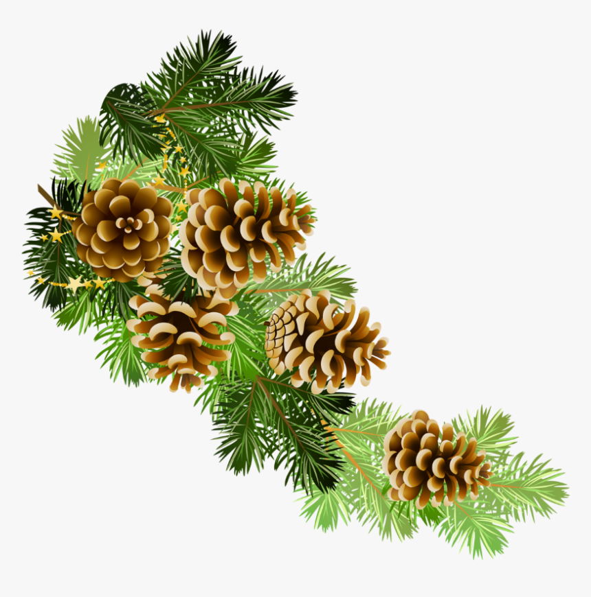 Poinsettia Clipart Pine Garland - Christmas Greenery Clip Art, HD Png Download