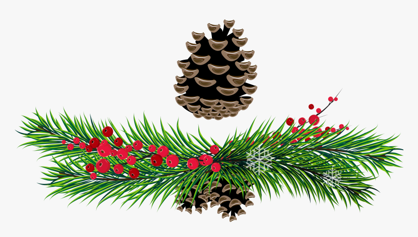 Branches And Cones Png - Christmas Pine Transparent Background, Png Download