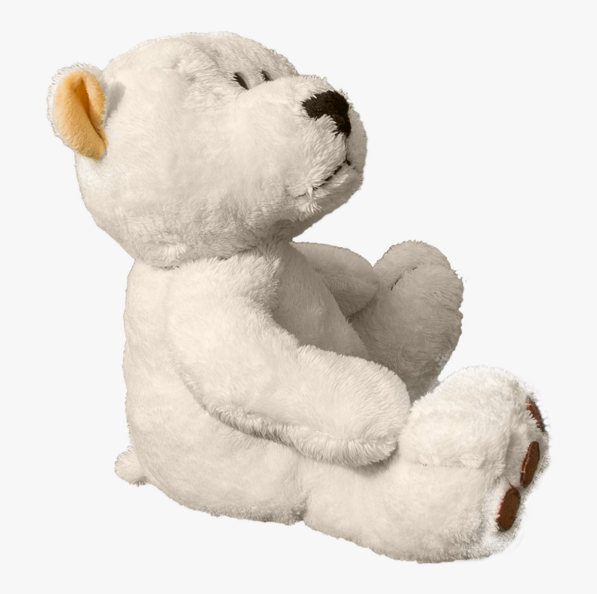 Teddy, Teddy Bear, Bear, Soft Toy, Sweet, Cute - White Teddy Bear Png, Transparent Png