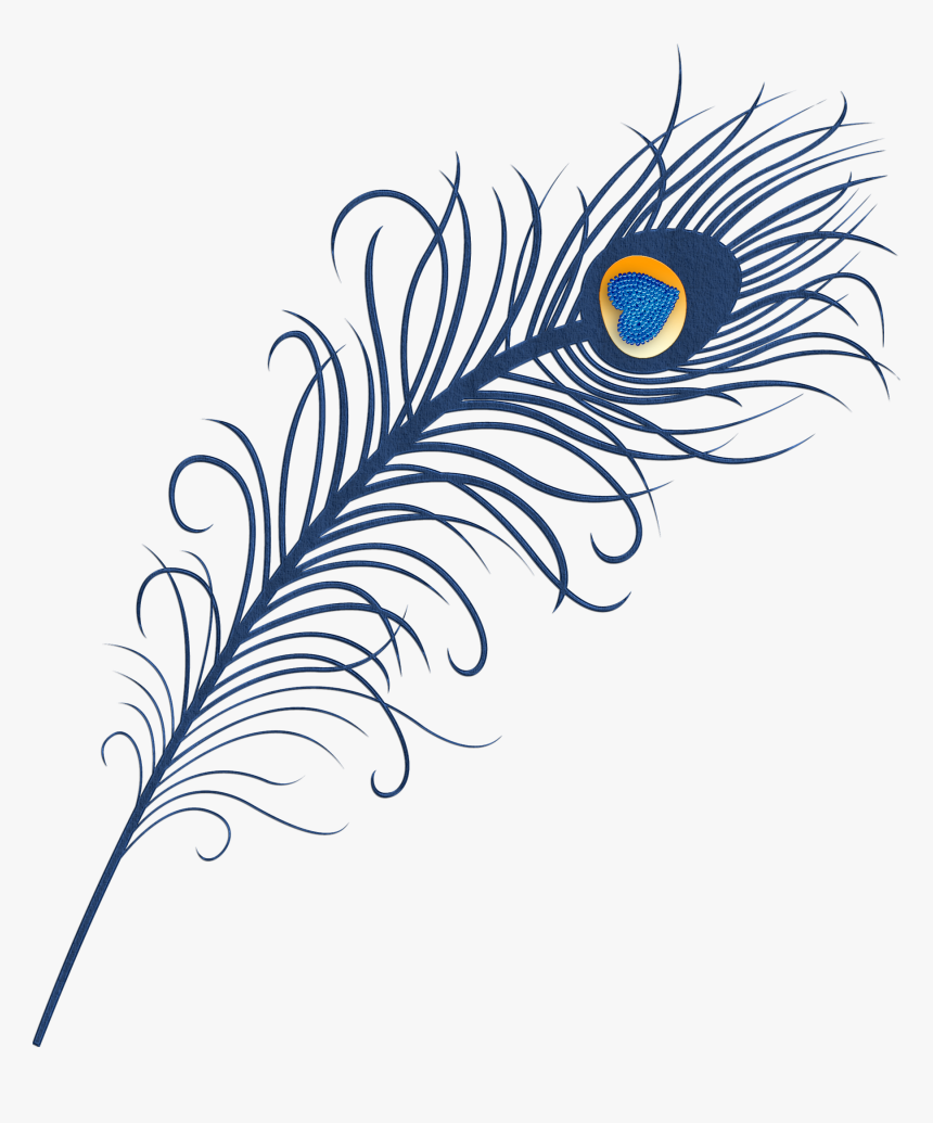 Transparent Eyelash Clipart - Png Format Peacock Feather Png, Png Download