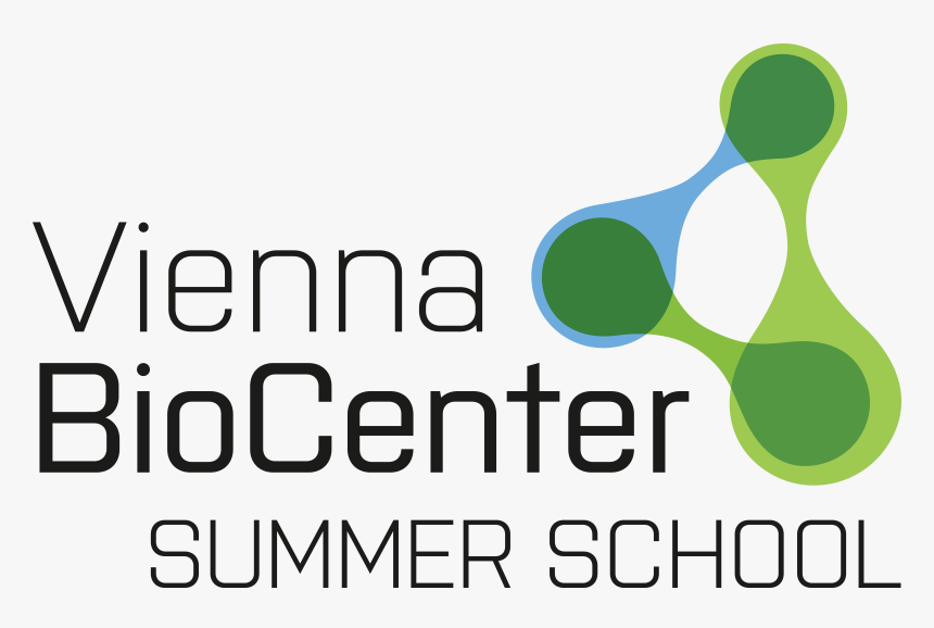 Graphic Design, HD Png Download