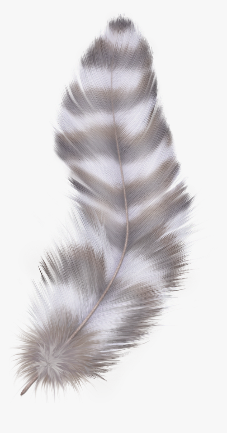 Feather Png - Grey Feather With Transparent Background, Png Download