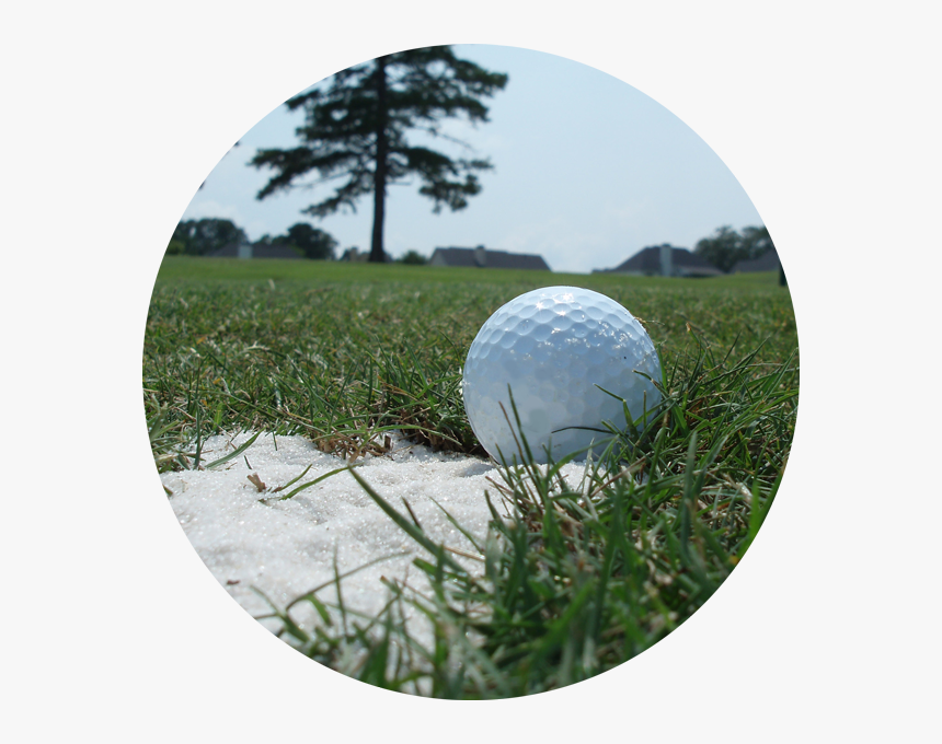 Grass, Hd Png Download - Grass, Transparent Png