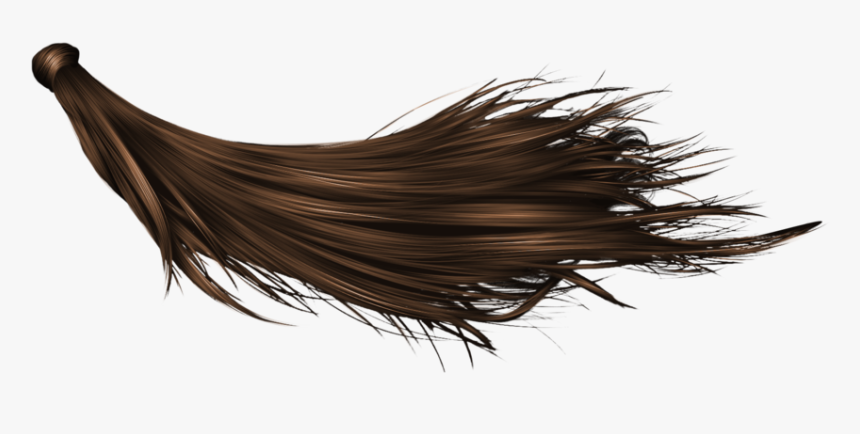 Hair Transparent Background - Black Long Hair Png, Png Download