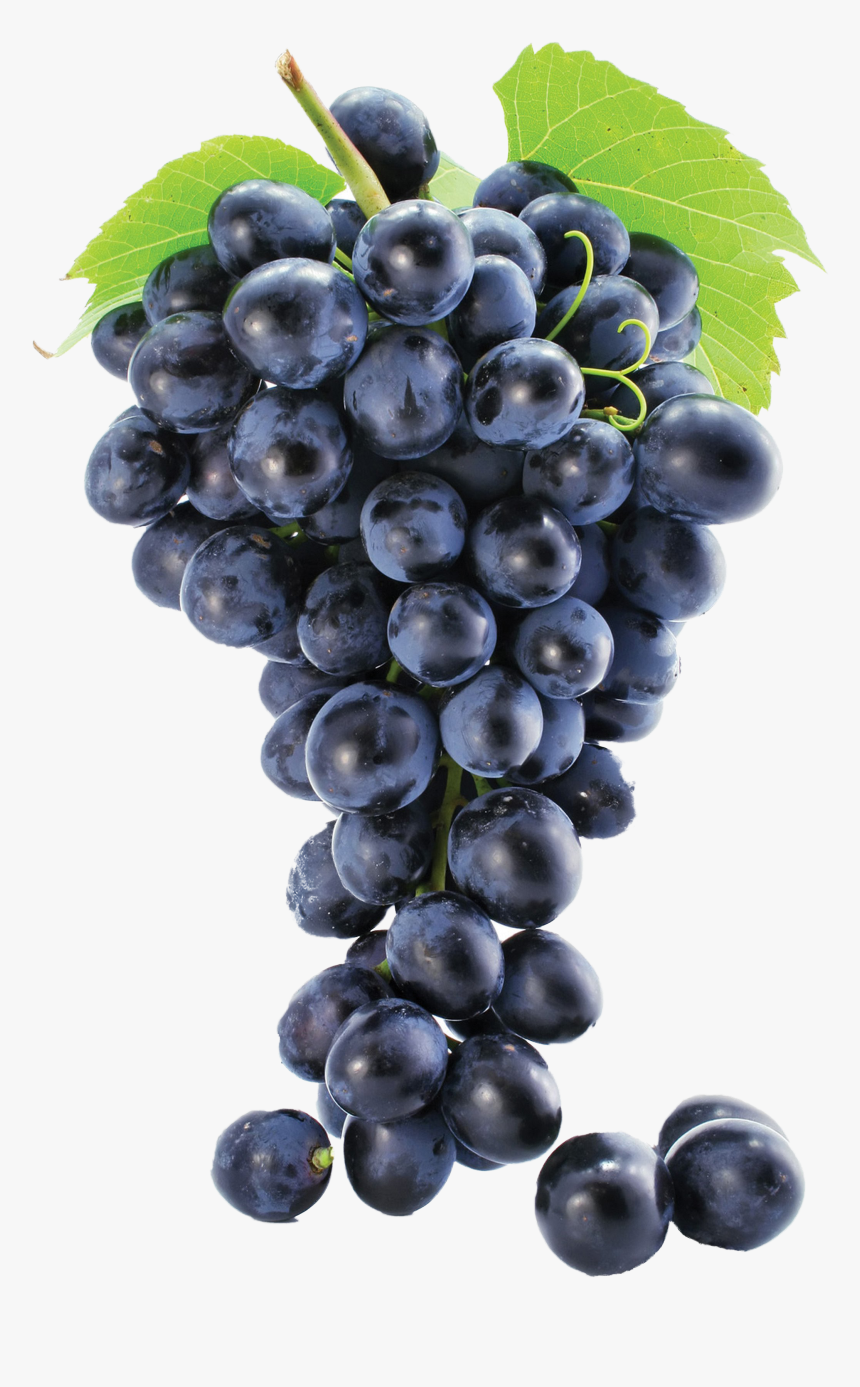 Grapes Png Image - Grape Png, Transparent Png