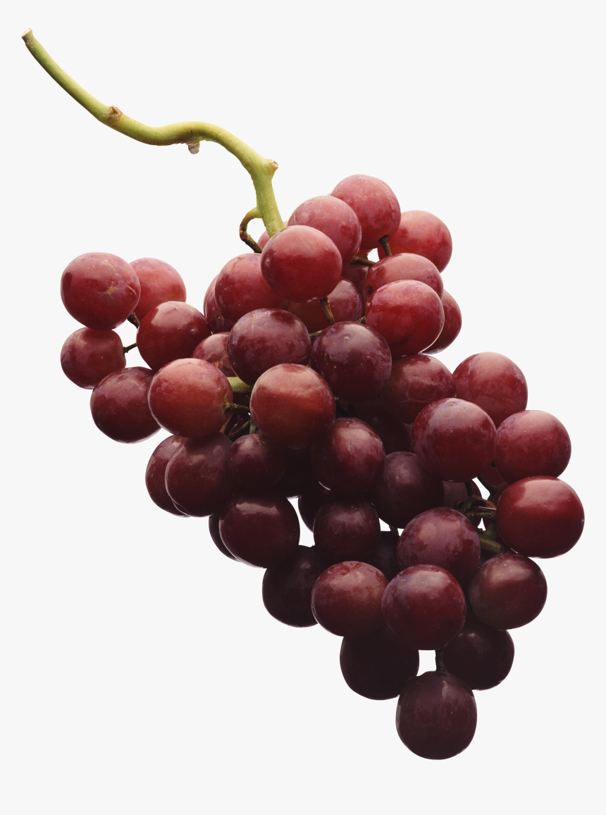 Grape Png Image - Png Grape Vine Red Grape, Transparent Png