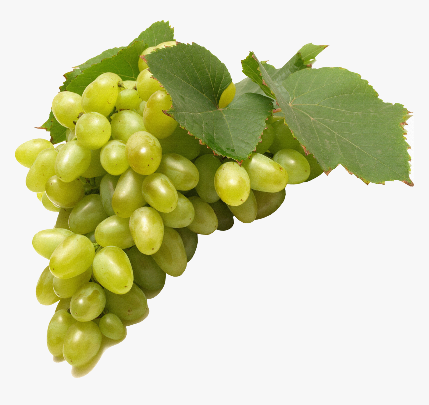 Green Grapes Png Image - Golden Grapes Transparent Background, Png Download