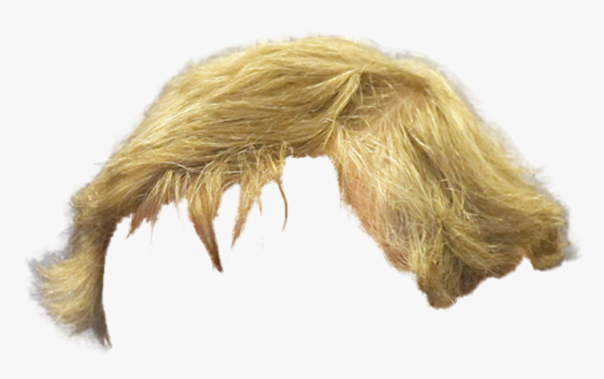 Step-cutting - Blonde Hair Png Male, Transparent Png