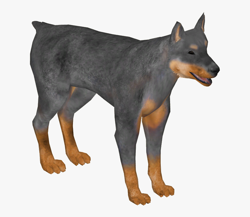Doberman Pinscher - Dobermann, HD Png Download