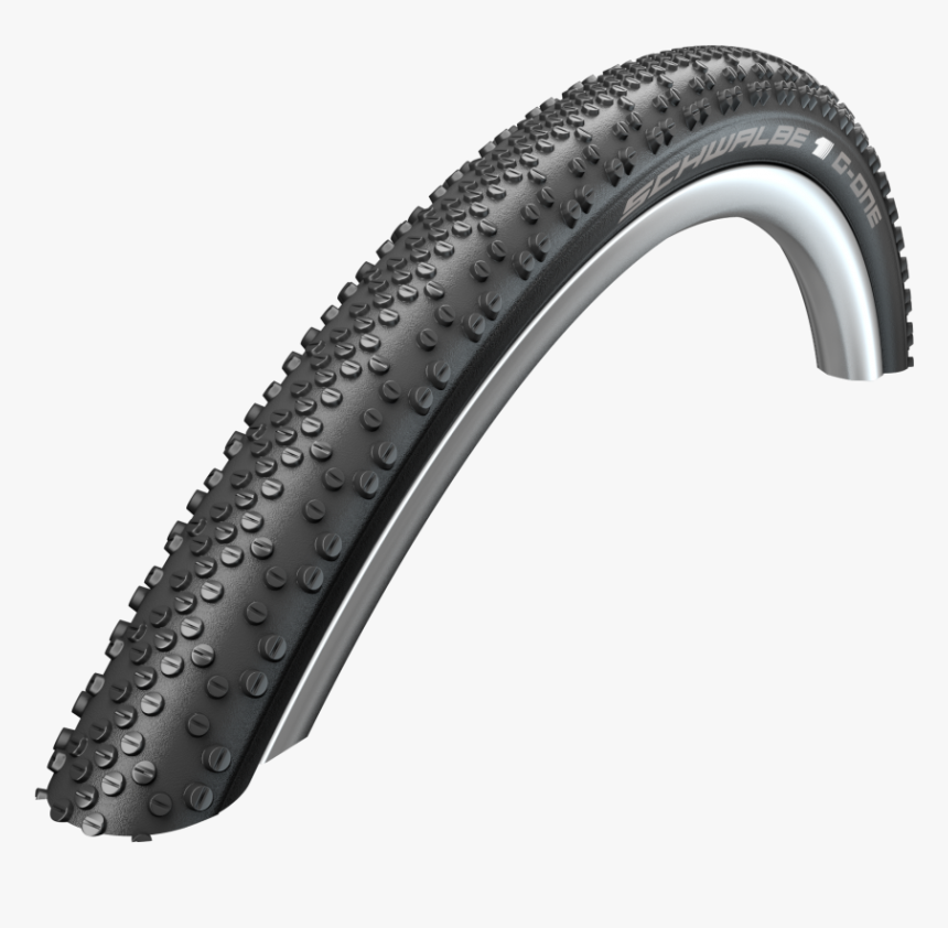 schwalbe winter tires