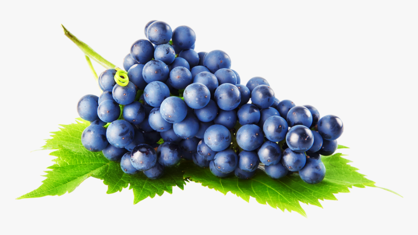 Grapes Png Image - Grapes Transparent Background, Png Download
