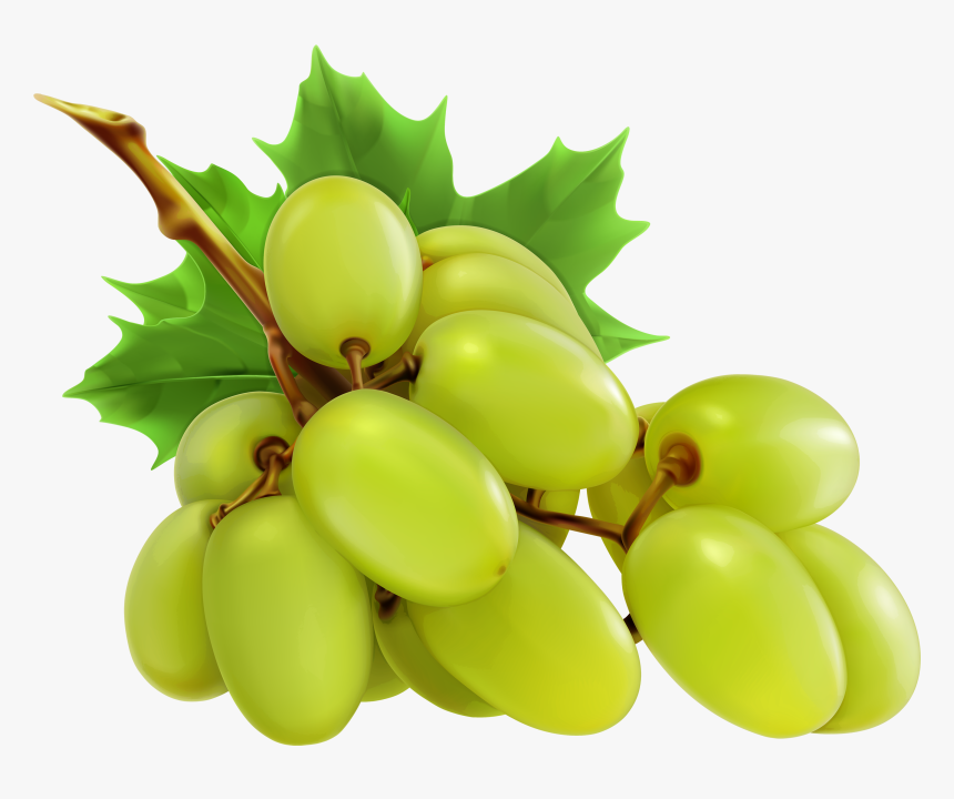 White Grapes Png Clipart - Grapes Clipart, Transparent Png