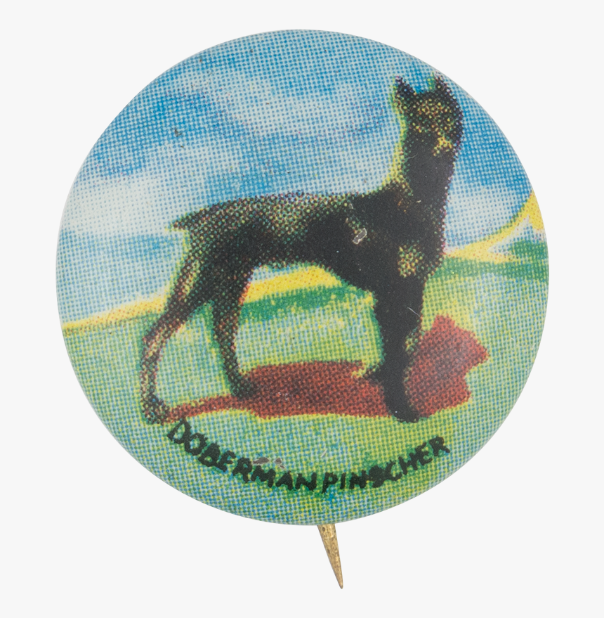Doberman Pinscher Art Button Museum - Dobermann, HD Png Download