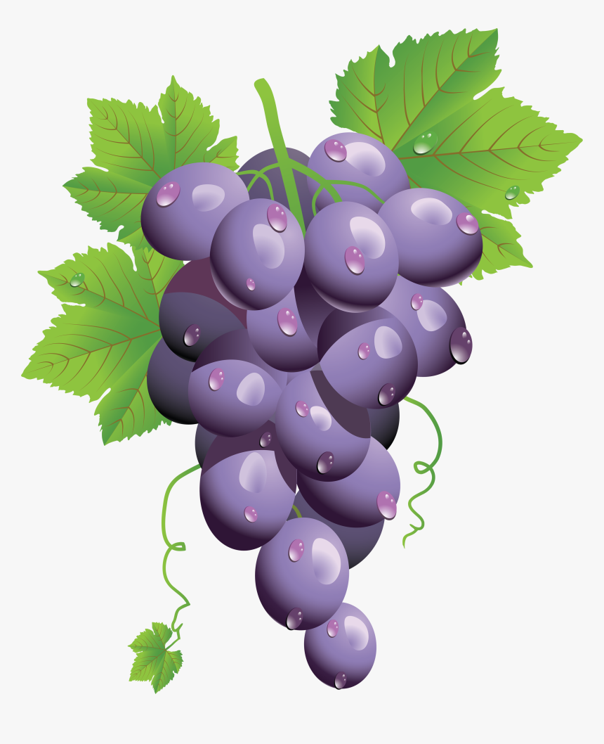 Grapes Png Image Clipart Purple Grapes Png Transparent Png Transparent Png Image Pngitem