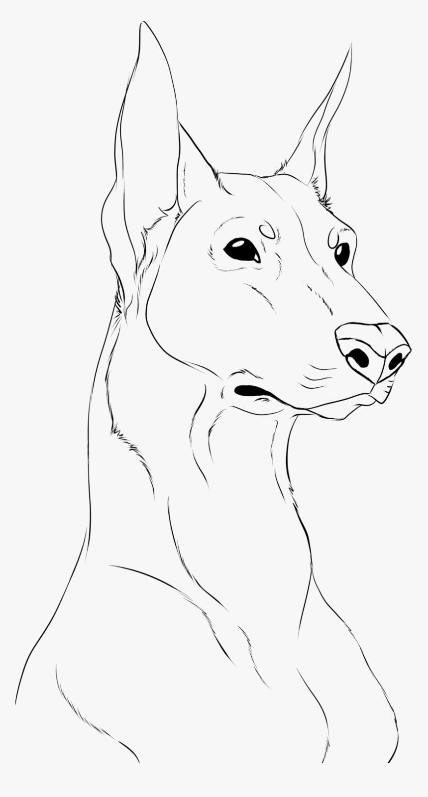 Dobermann German Shepherd Drawing Line Art Sketch - German Shepherd Sketch, HD Png Download