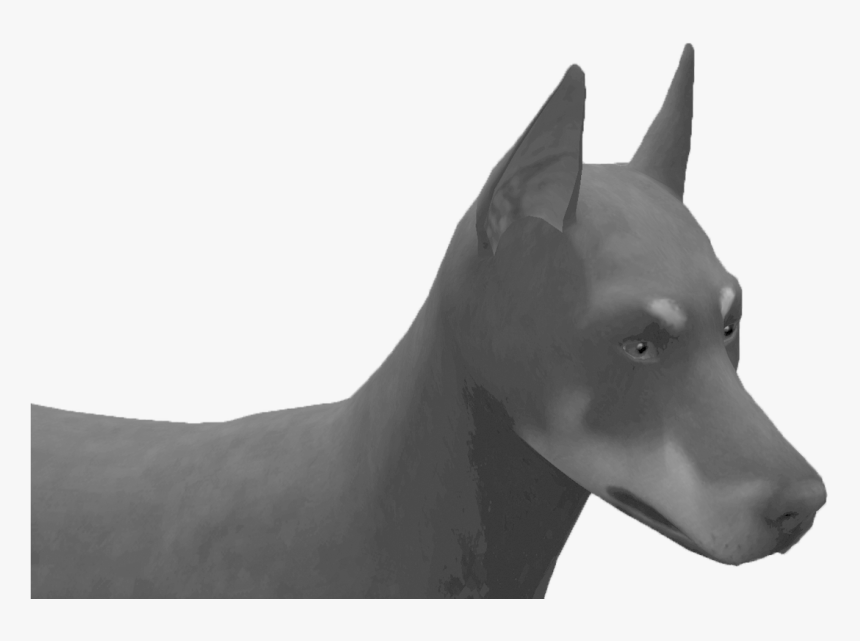 Picture - Companion Dog, HD Png Download