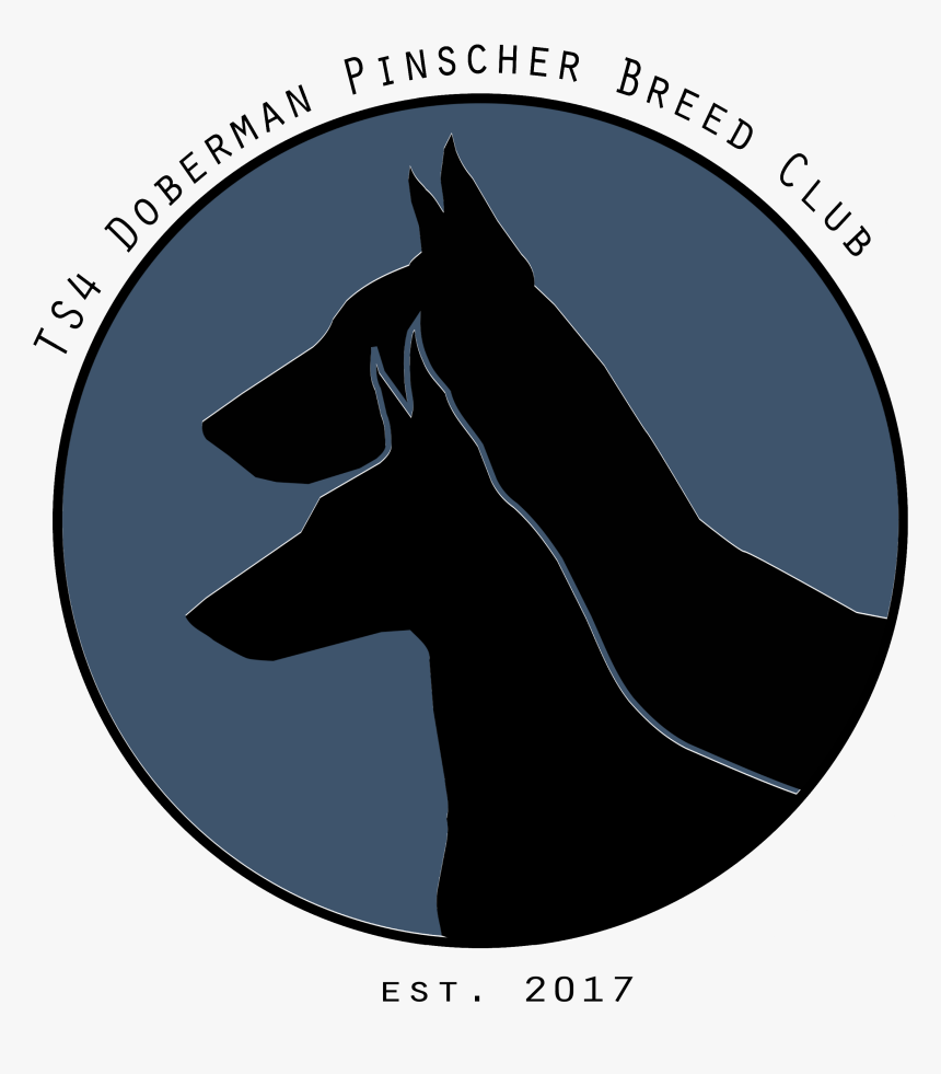 Transparent Doberman Pinscher Png - Black Norwegian Elkhound, Png Download