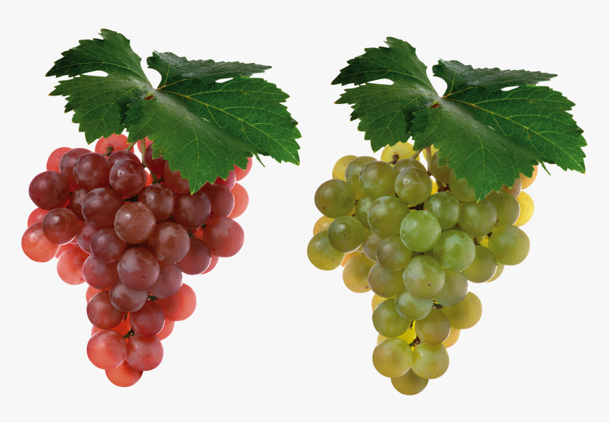 Grape Png Image - Grapes Hd, Transparent Png