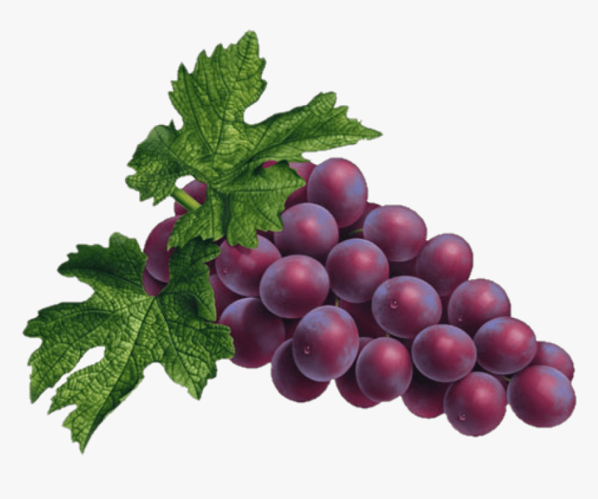 Grapes Png Images Transparent Background - Transparent Grapes Png, Png Download