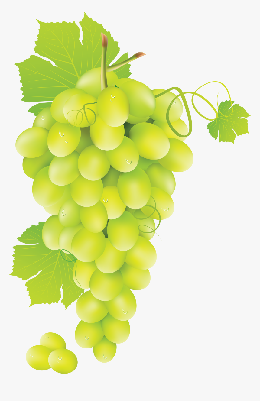 Grapes Png Image, Transparent Png