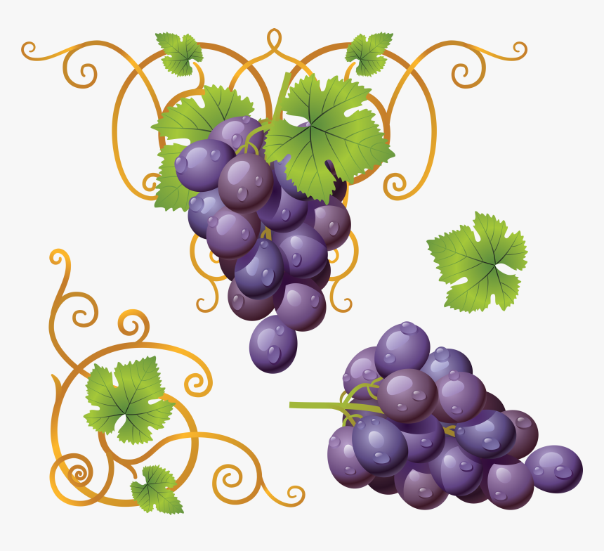 Grape Png Image - Grapes Clipart Png, Transparent Png